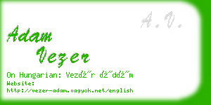 adam vezer business card
